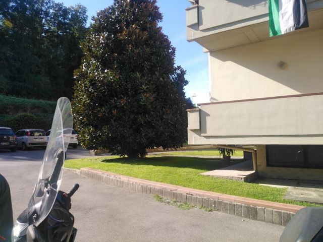 giardino